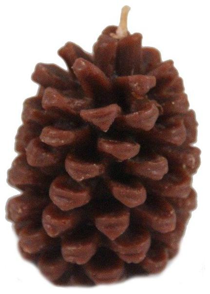

Beeswax Pinecone Candle - Multiple Sizes Colors