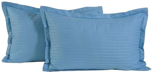 Belive-Me Cotton Light Blue Pillow Cover Set Of 2