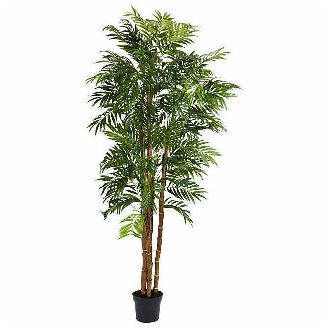 

Bella Palm 6-foot Silk Tree Modern Contemporary