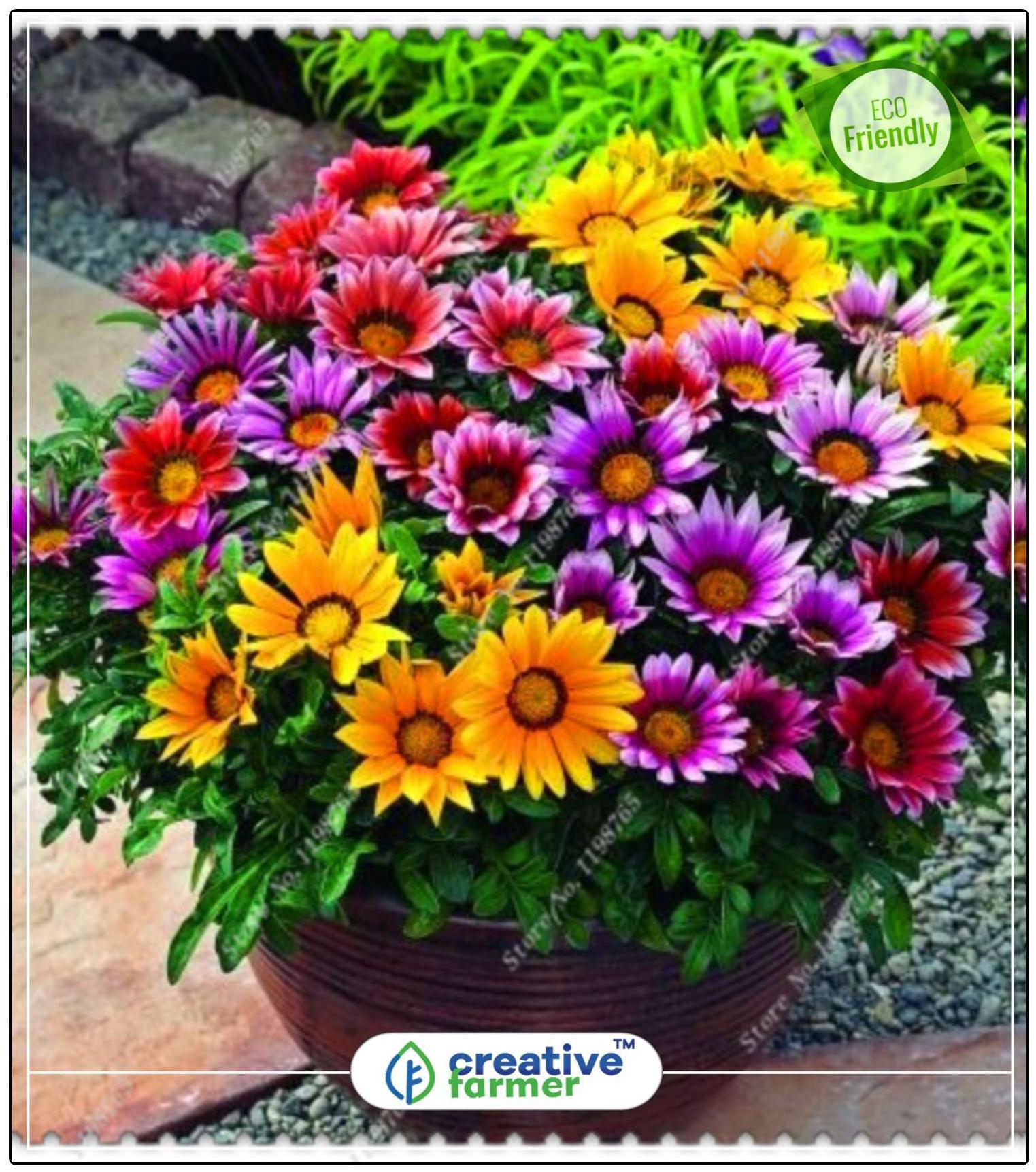 https://assetscdn1.paytm.com/images/catalog/product/H/HO/HOMBEST-ORNAMENCREA88747A8FBB6E6/1563036693165_0..jpg