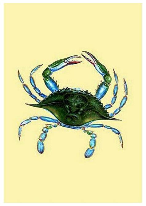 

Betsy Drake Female Blue Crab Yellow 28-inch x 40-inch Flag Multi