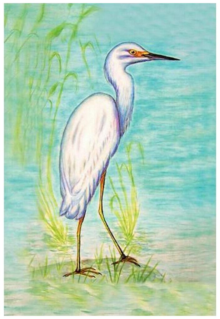 

Betsy Drake Snowy Egret 12 5x18-inch Flag Multi