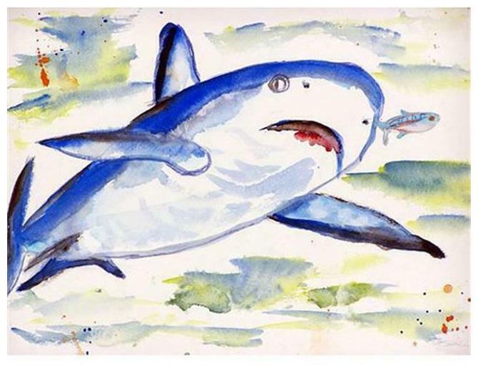 

Betsy Drake DM213 Sharks Doormat 18 x 26