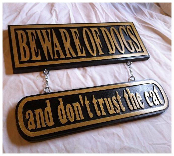 

Beware of Dogs dont trust the Cat 3D routed carved wood sign Custom