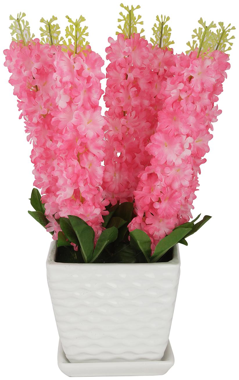 

BKB Aesthetic Home Solutions Hyacinth in Ceramic Pot
