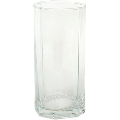 

Bloom Glass Transparent Floral Glasses- Set Of 6