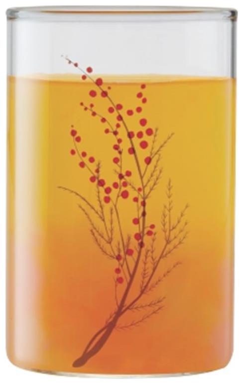 

Borosil Cherry Glasses (Set Of 6)