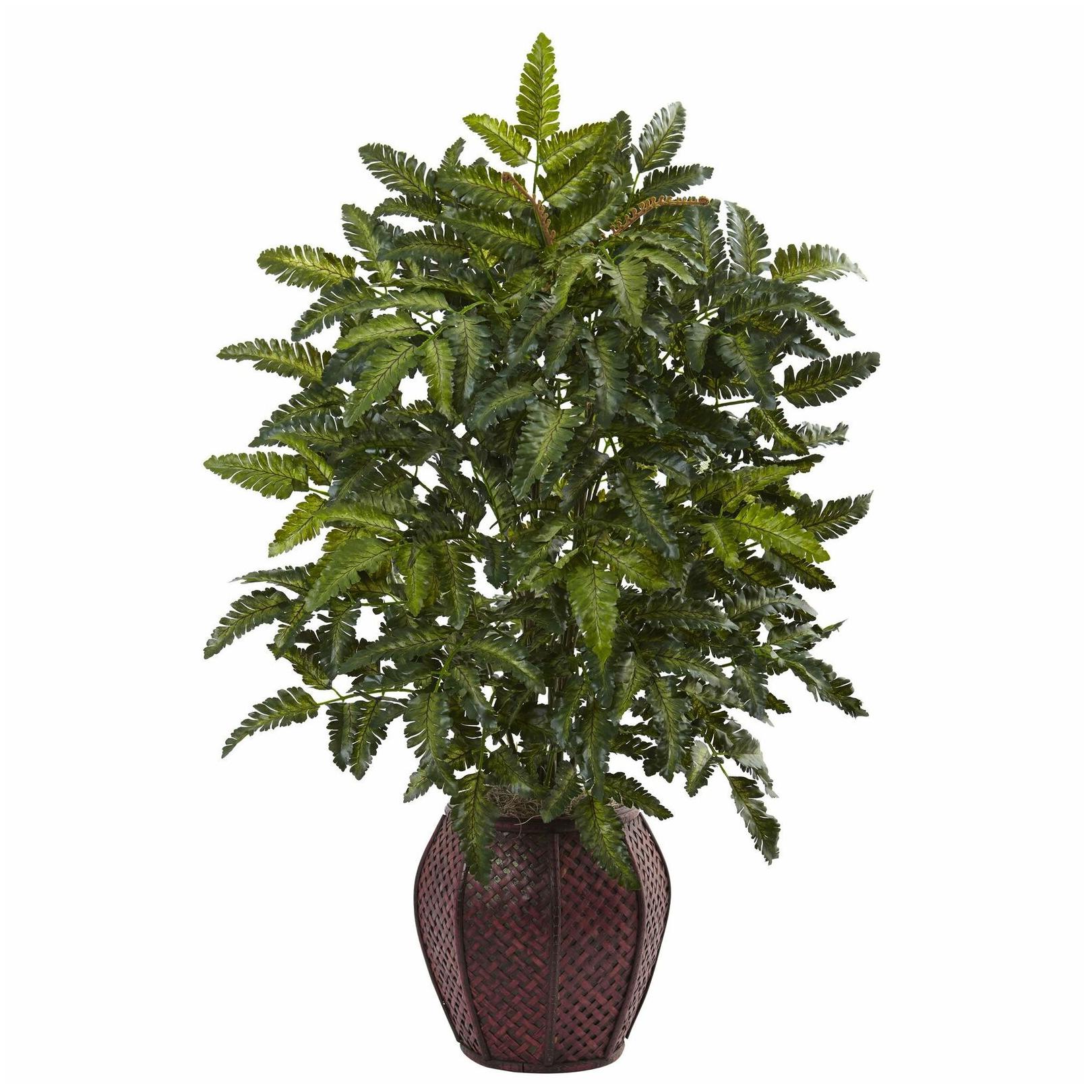 

Bracken Fern with Decorative Planter Stripe Patterned Southwestern