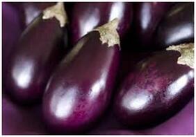 Brinjal Seeds - Egg Plant Long Green - Vegetable Seeds For Home : Kitchen Garden Pack by Creative Farmer