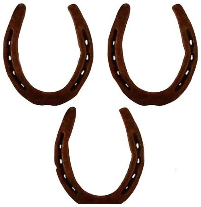 

Buy 2 Get 1 Free Original Kale Godhe Black Horse Shoe Naal To Protect Your Home Office From Evil Eyes