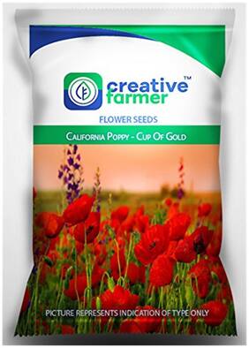 California Poppy - Cup Of Gold Seeds For Home Garden-50 Seeds by Creative Farmer