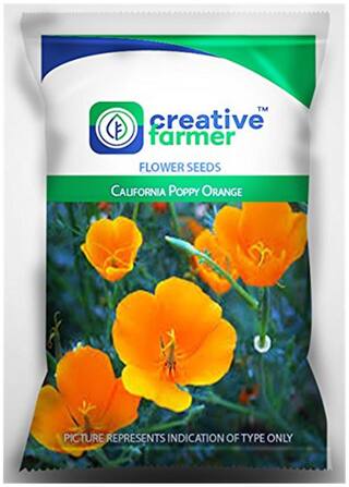 California Poppy Orange Seeds For Home Garden-50 Seeds by Creative Farmer