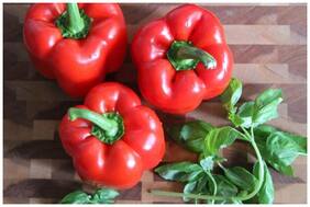 Capsicum Seeds - Red Colour