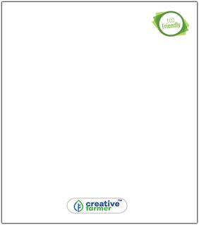 Catharanthus Roseus Ornamental Plant Seeds Low Price Perfect Home Garden Plant Seeds