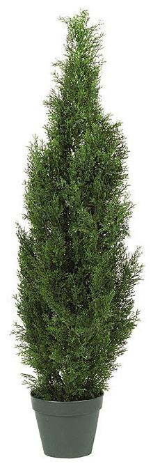 

Cedar Tree 4-foot Indoor Outdoor Silk Pine