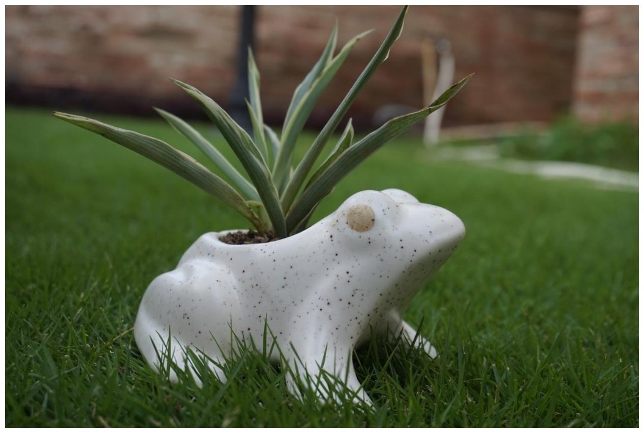

Ceramic Miniature Planter Container Plant Container ( colour as per stock)