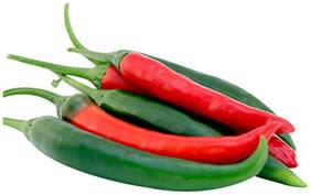 Chilli Pepper Seeds - Extra Hot - Vegetable Seeds For Pots : Kitchen Garden Pack by Creative Farmer