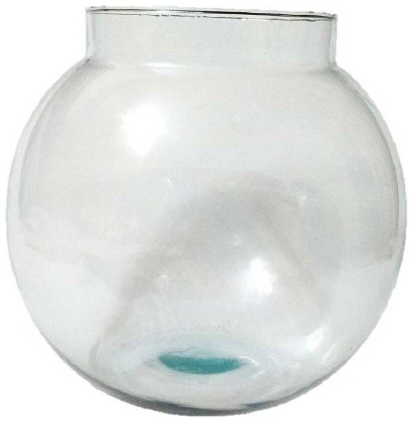 

Clear Transparent Round Glass Fish Pot For Joom View Of Table Top
