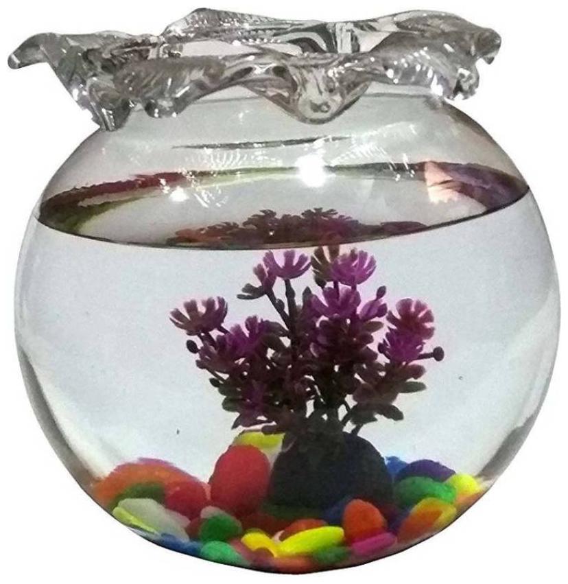 

Clear Transparent Round Glass Fish Pot For Joom View Of Table Top