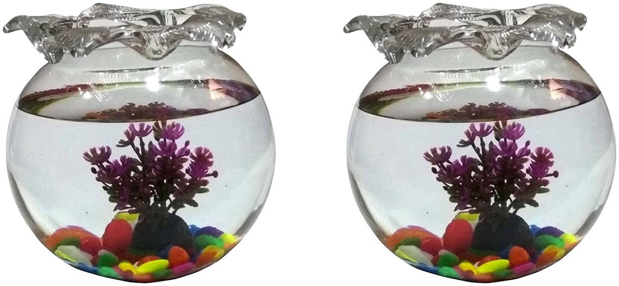 

Clear Transparent Round Glass Fish Pot For Joom View Of Table Top
