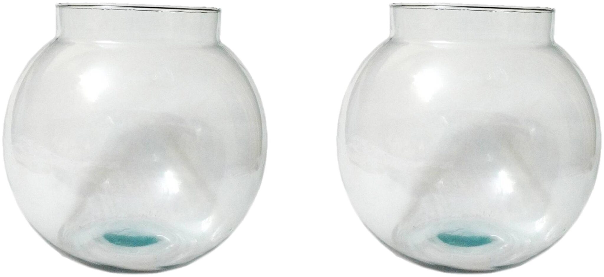 

Clear Transparent Round Glass Fish Pot For Joom View Of Table Top