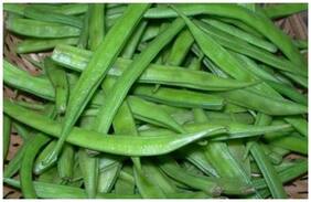 Cluster Bean Seeds Kitchen Garden Pack by Creative Farmer