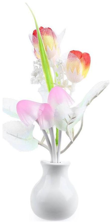 

Color Changing Auto ON OFF Mushroom Night Light Lamp