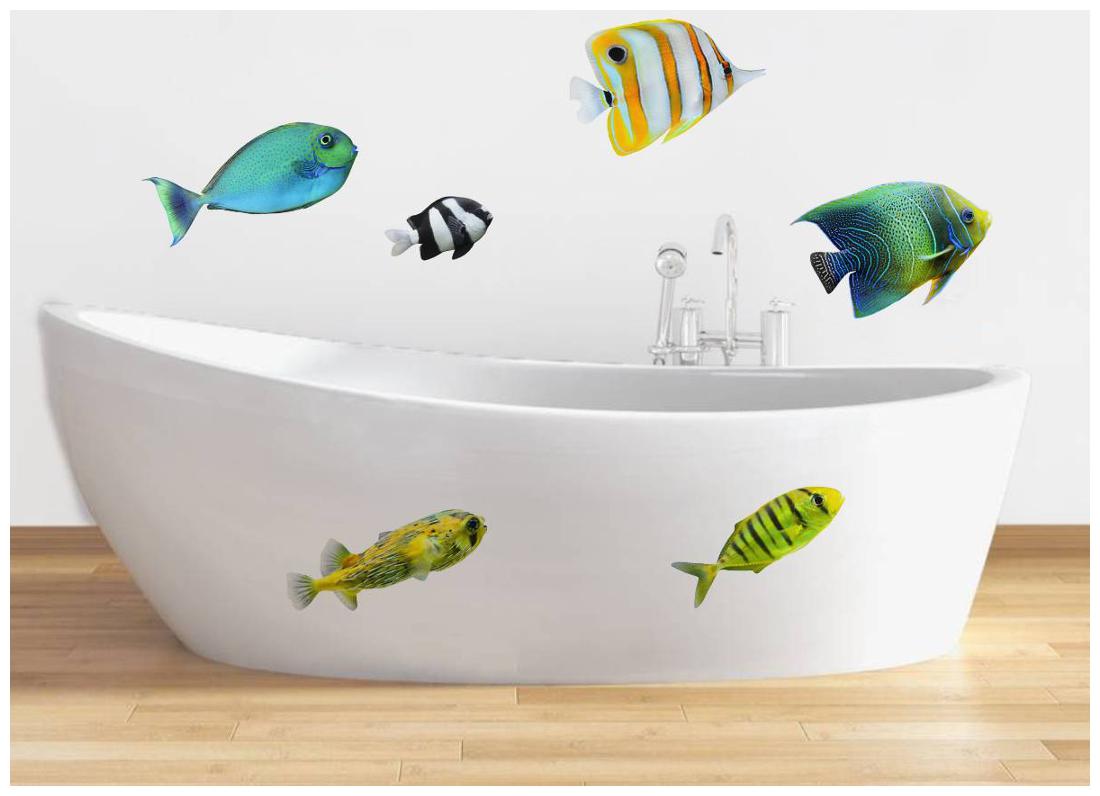 

Colorful Fish