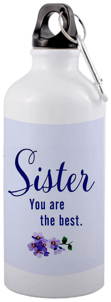 

COLORYARD Aluminium White Blue Water Bottle ( 600 ml Set of 1 )