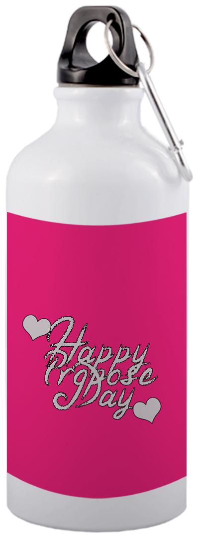 

COLORYARD Aluminium White Water Bottle ( 600 ml Set of 1 )
