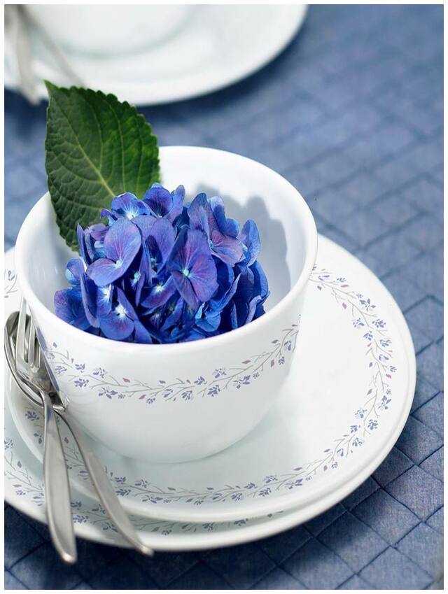 Corelle Essential series 12 pcs Set - Lilic Blush