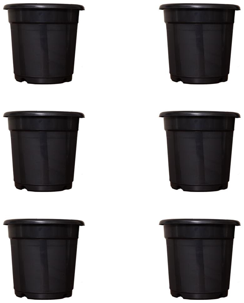 

Crete 8 inch Set of 6 Plant Container