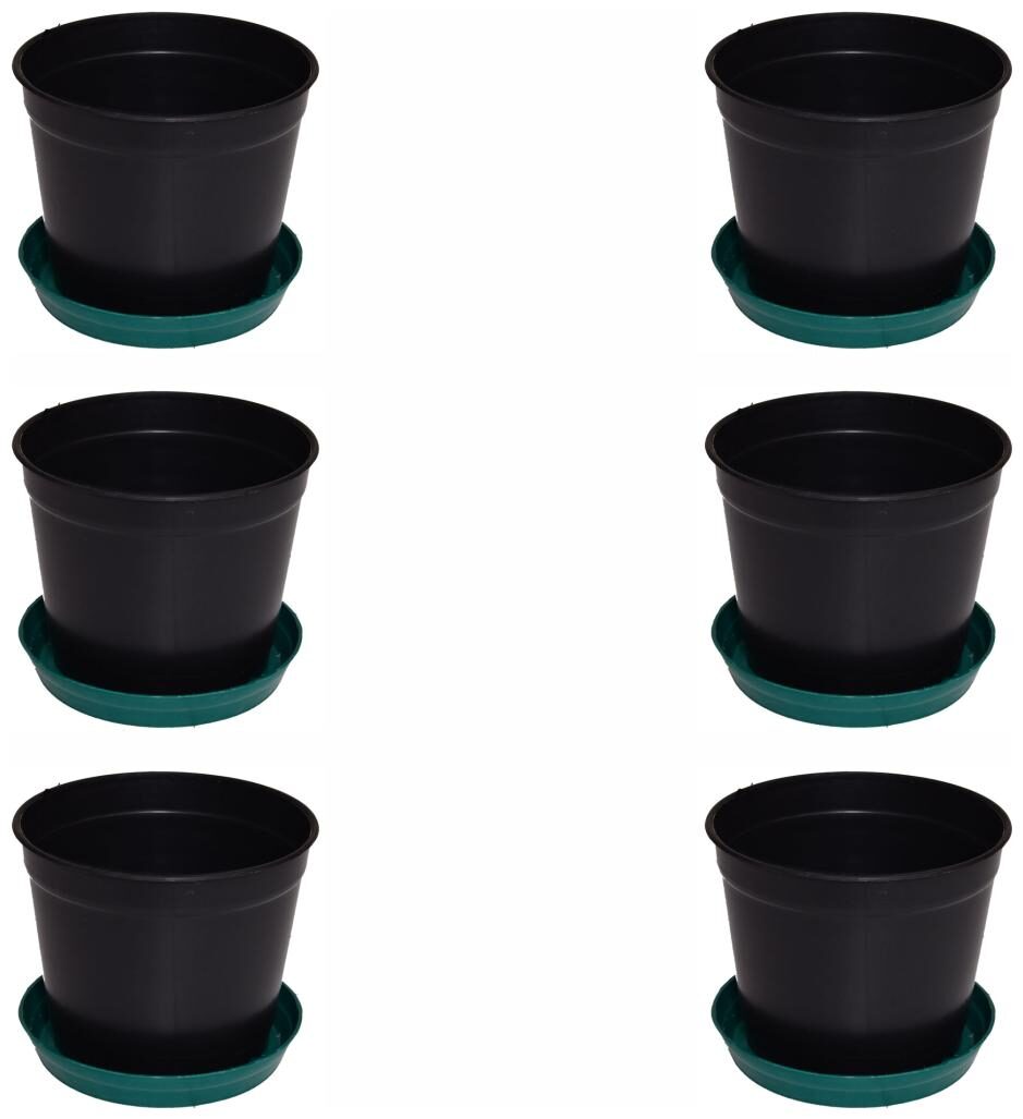 

Crete Pvc Black Flower Pot Planter ( Set Of 6 pcs )