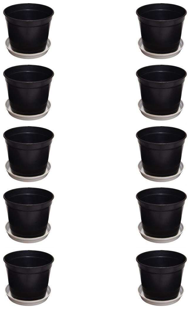 

Crete Pvc Black Flower Pot Planter ( Set Of 10 pcs )