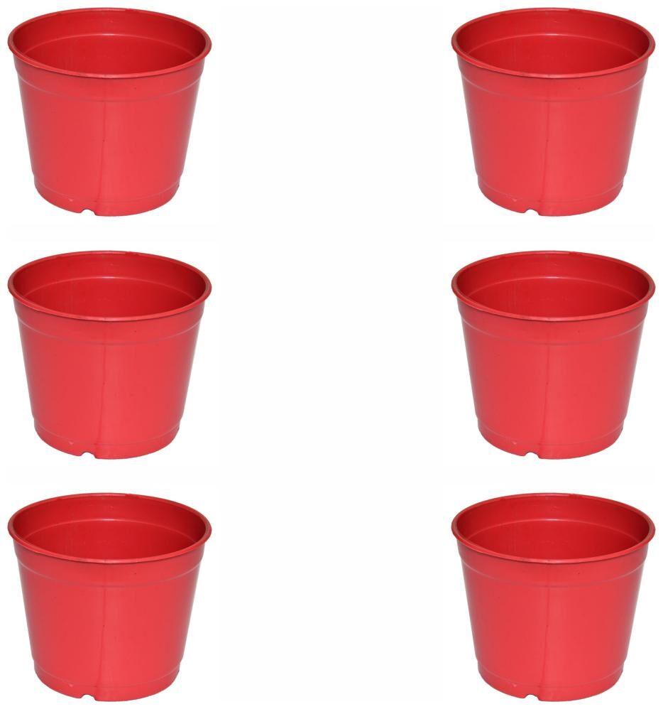 

Crete Pvc Rust Flower Pot Planter ( Set Of 6 pcs )