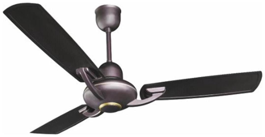 

Crompton Triton 1200 mm Ceiling Fan - Roast Brown