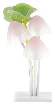 

CHG Plastic Magic Night Lamp Beautiful Illumination Automatic on off Smart Sensor (Multi-coloured)