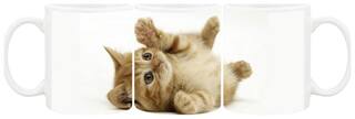 Cute Cat Ceramic Coffee Mug by AshvahTM - MUG1123