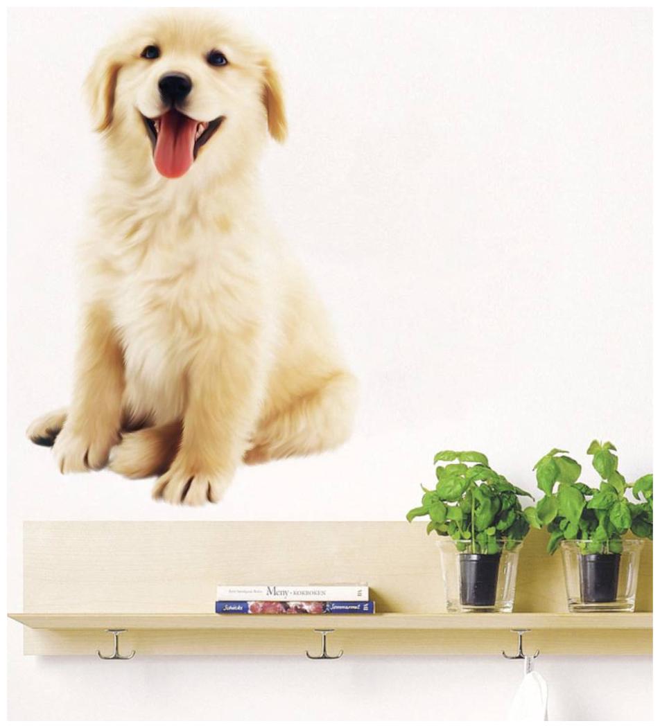 

Cute Dog