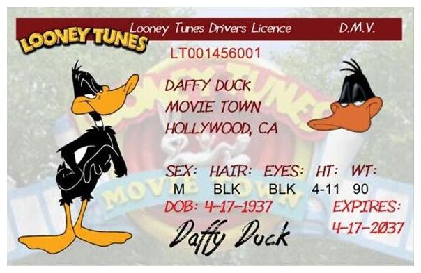 

DAFFY DUCK DRIVERS LICENSE 2 1 2 X 4 FRIDGE MAGNET LOONEY TUNES FREE SHIP