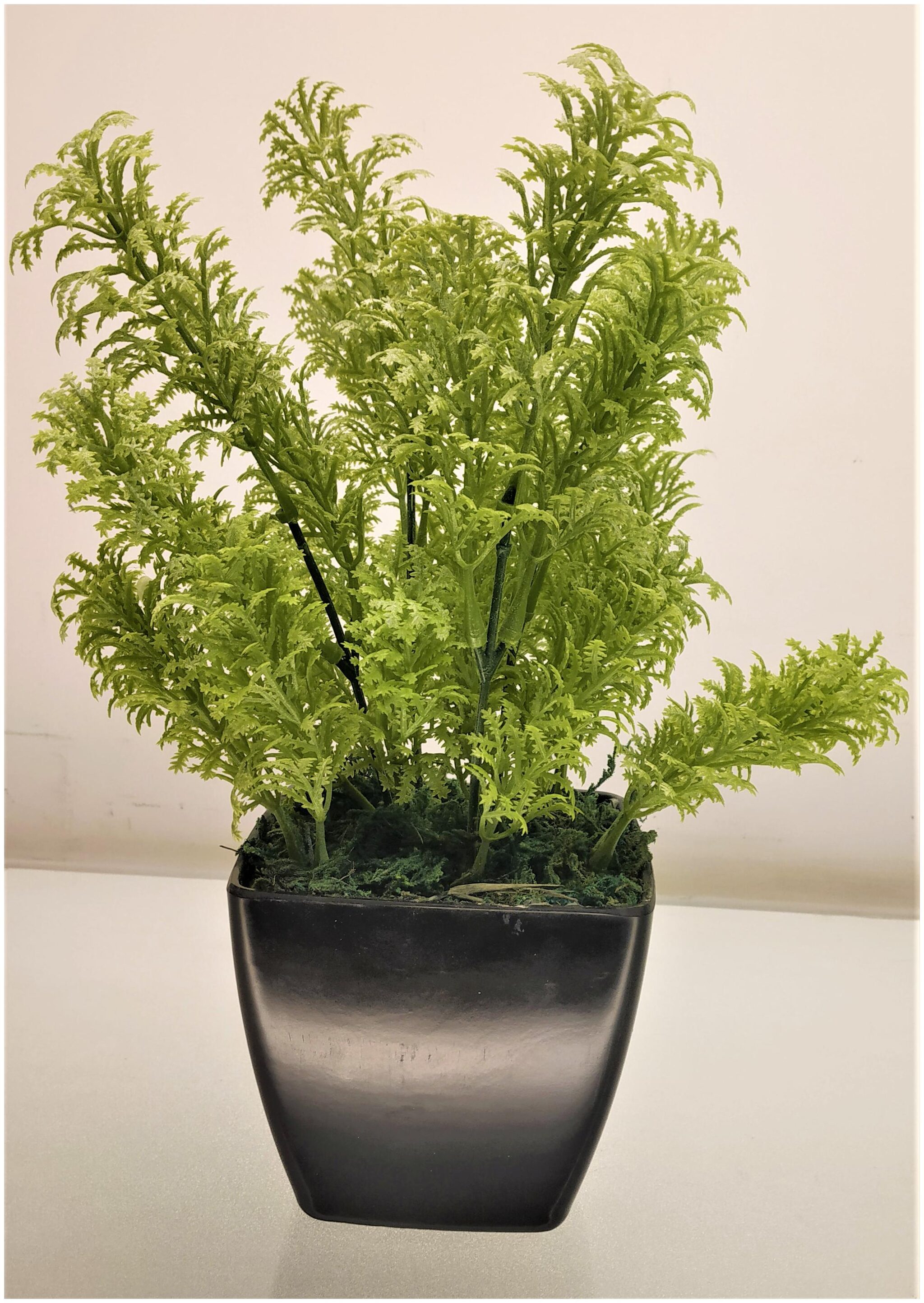 

De Gardenia Artificial Moss Bonzai Plant With Mela Mine Pot