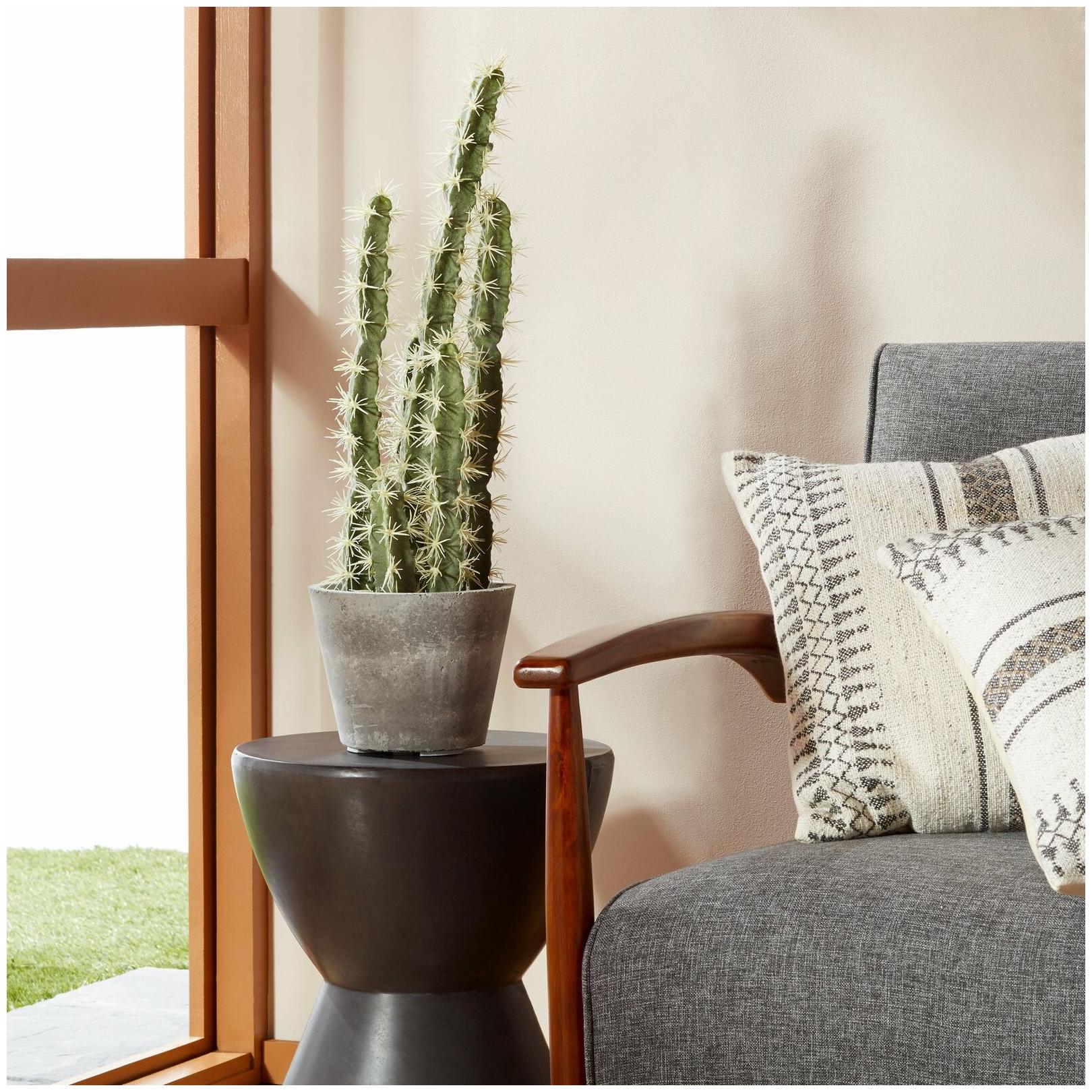 

Decorative Cactus Garden with Cement Planter