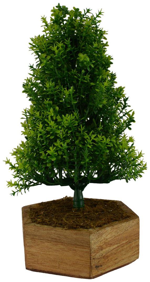 https://assetscdn1.paytm.com/images/catalog/product/H/HO/HOMDECOREBUGS-ASUNI8765217994CEEE/1563036387032_0..jpg