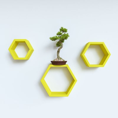 

DecorNation Set Of 3 Hexagon Shape Storage Wall Shelves