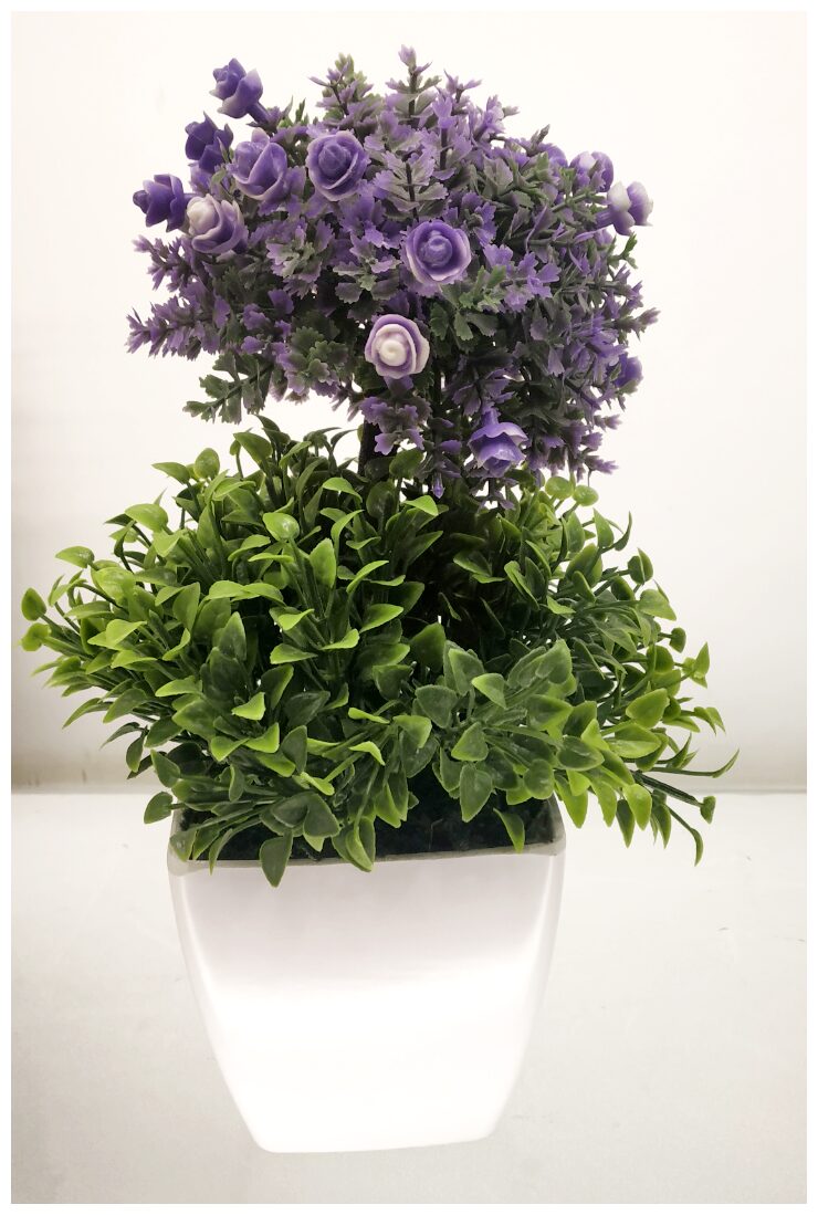 

Degardenia Blue Bonsai Plant White Pot