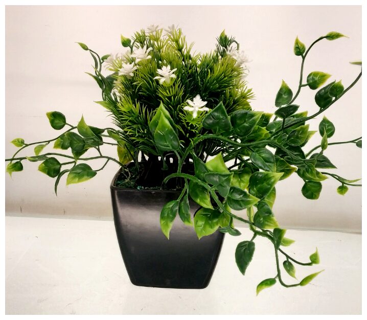 

Degardenia Green Bonsai Plant With Black Pot