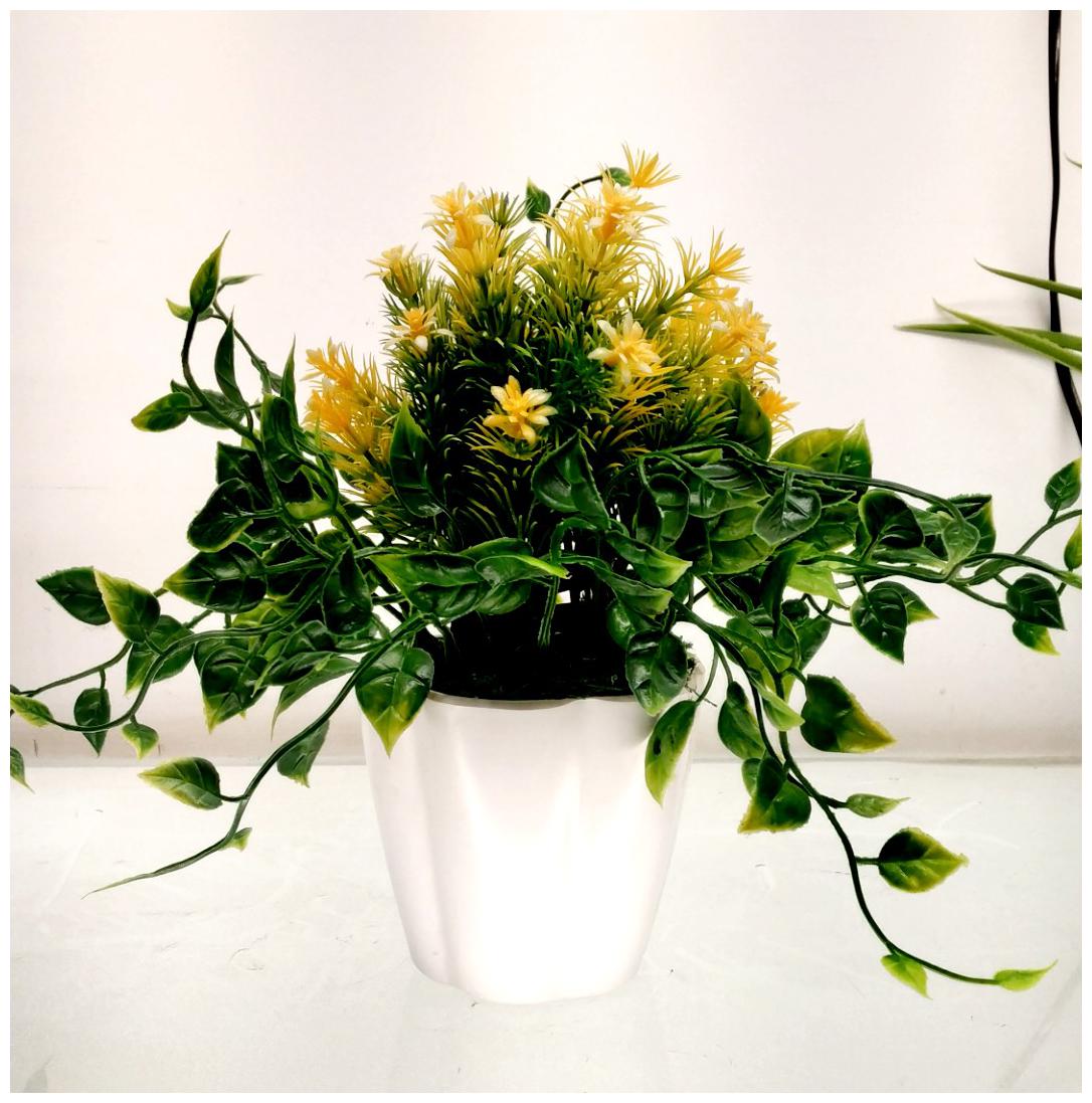 

Degardenia Yellow Bonsai Plant With Black Pot