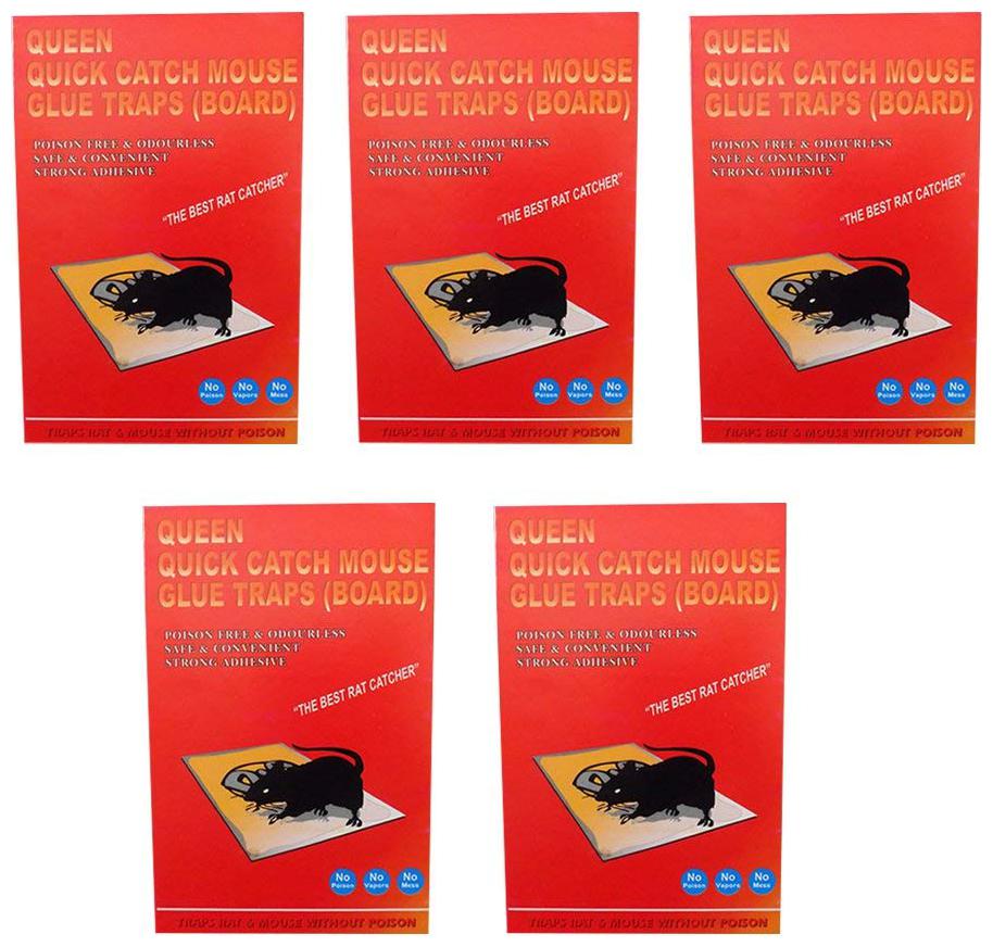 Buy DeoDap Adhesive Sticky Glue Pad Traps to Catch Mouser/lizards