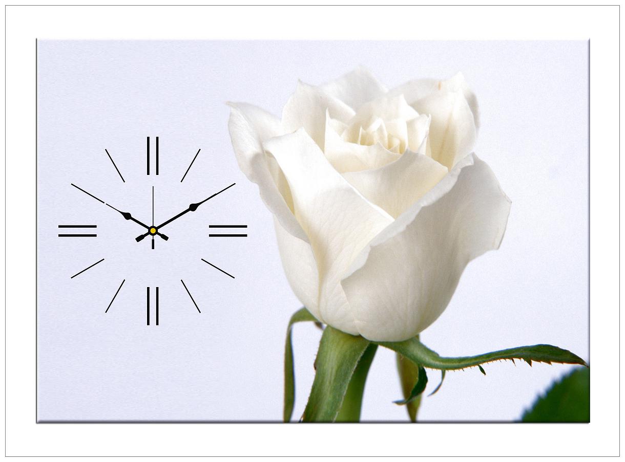 

Design O Vista Wood Canvas Analog Wall clock ( Set of 1 )