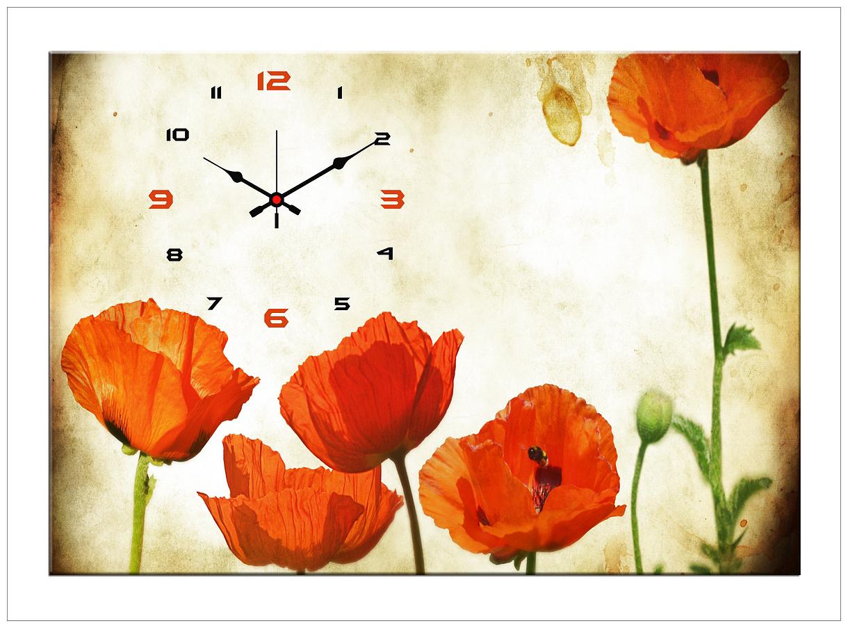 

Design O Vista Wood Canvas Analog Wall clock ( Set of 1 )
